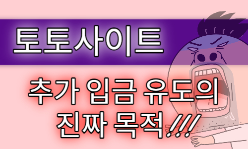 토토사이트 먹튀